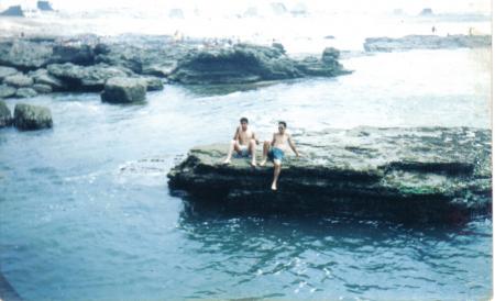 1982